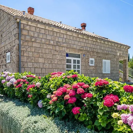 Amalija Guest house