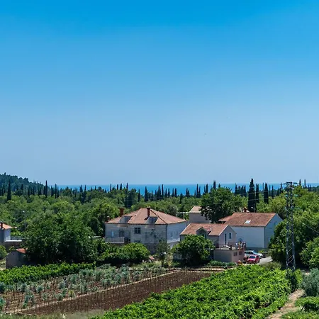 Amalija ゲストハウス Čilipi